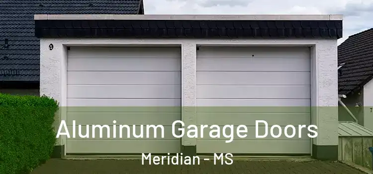  Aluminum Garage Doors Meridian - MS