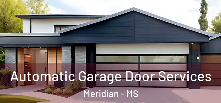  Automatic Garage Door Services Meridian - MS