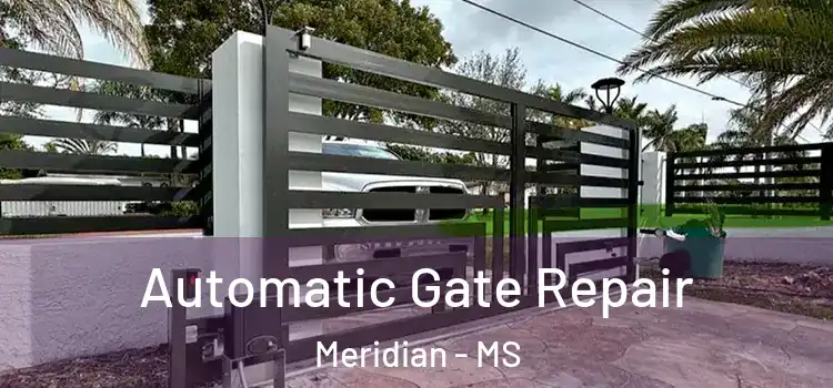Automatic Gate Repair Meridian - MS