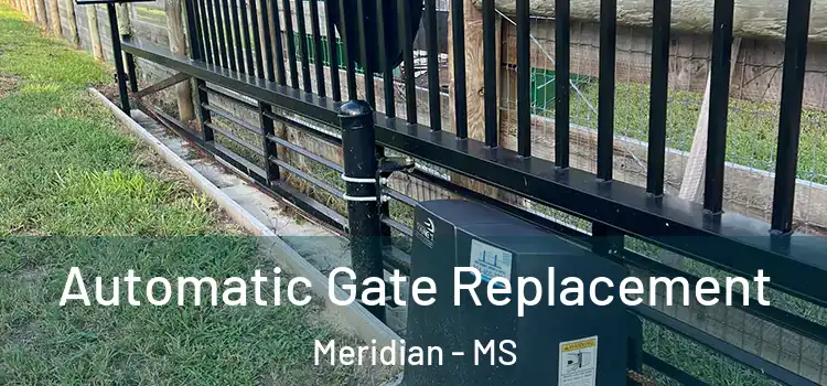 Automatic Gate Replacement Meridian - MS