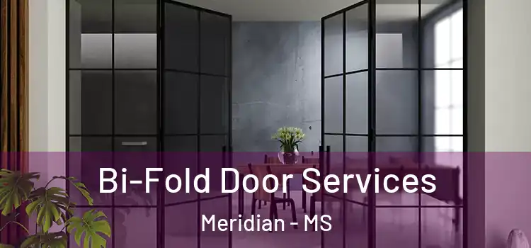 Bi-Fold Door Services Meridian - MS