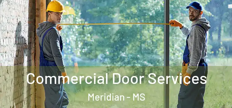 Commercial Door Services Meridian - MS