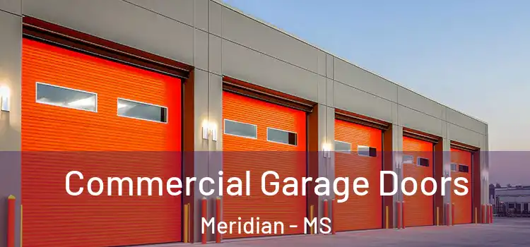  Commercial Garage Doors Meridian - MS