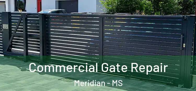 Commercial Gate Repair Meridian - MS