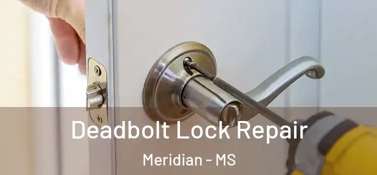 Deadbolt Lock Repair Meridian - MS