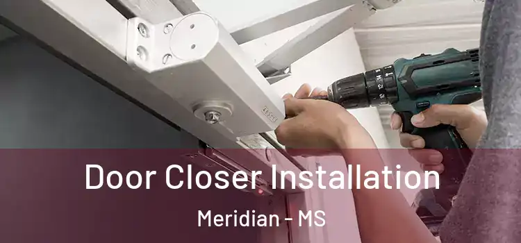 Door Closer Installation Meridian - MS