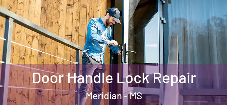 Door Handle Lock Repair Meridian - MS