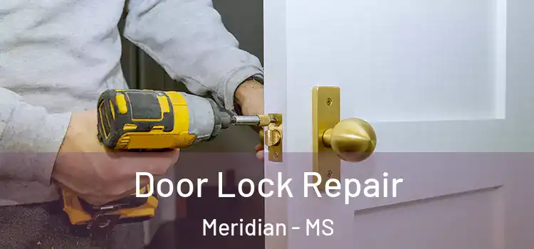 Door Lock Repair Meridian - MS