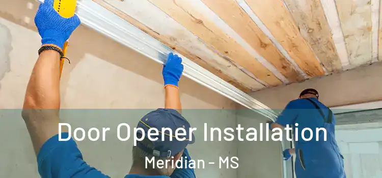 Door Opener Installation Meridian - MS