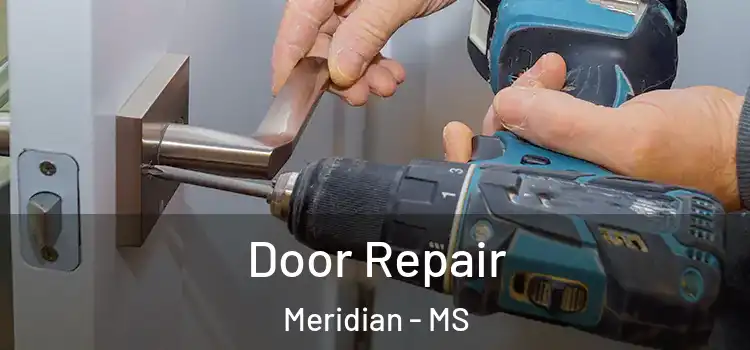 Door Repair Meridian - MS