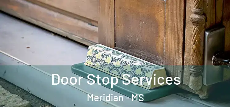 Door Stop Services Meridian - MS
