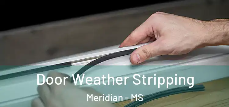 Door Weather Stripping Meridian - MS