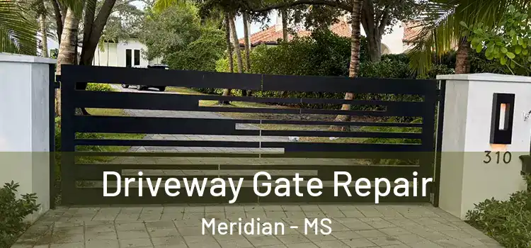 Driveway Gate Repair Meridian - MS