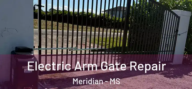 Electric Arm Gate Repair Meridian - MS