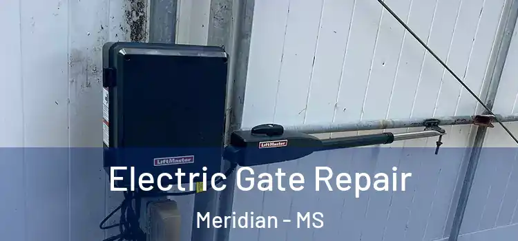 Electric Gate Repair Meridian - MS