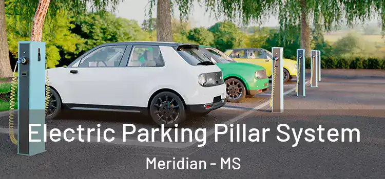 Electric Parking Pillar System Meridian - MS