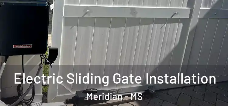 Electric Sliding Gate Installation Meridian - MS
