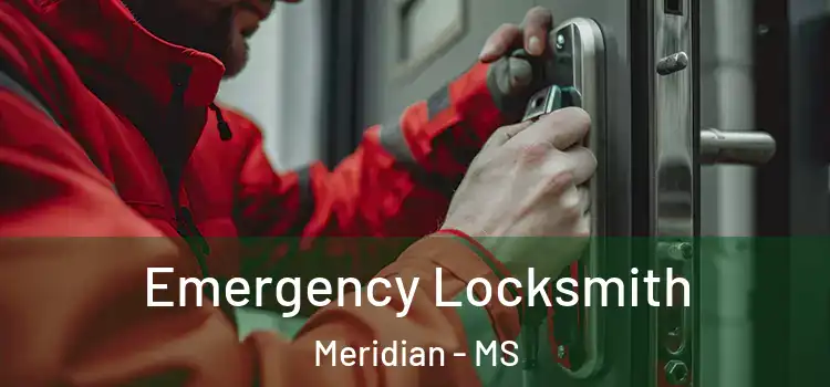Emergency Locksmith Meridian - MS