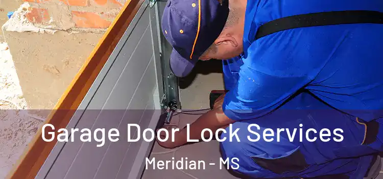 Garage Door Lock Services Meridian - MS