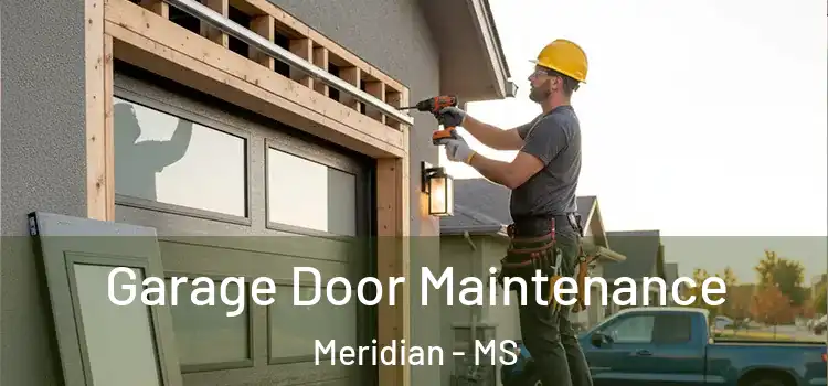 Garage Door Maintenance Meridian - MS