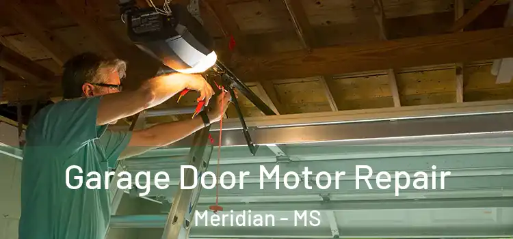  Garage Door Motor Repair Meridian - MS