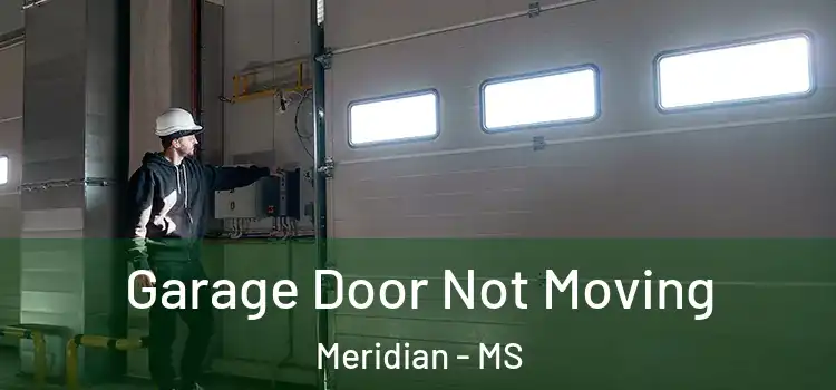  Garage Door Not Moving Meridian - MS