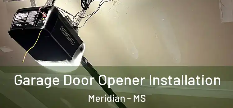  Garage Door Opener Installation Meridian - MS