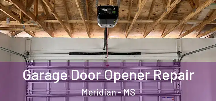  Garage Door Opener Repair Meridian - MS