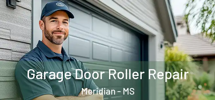  Garage Door Roller Repair Meridian - MS