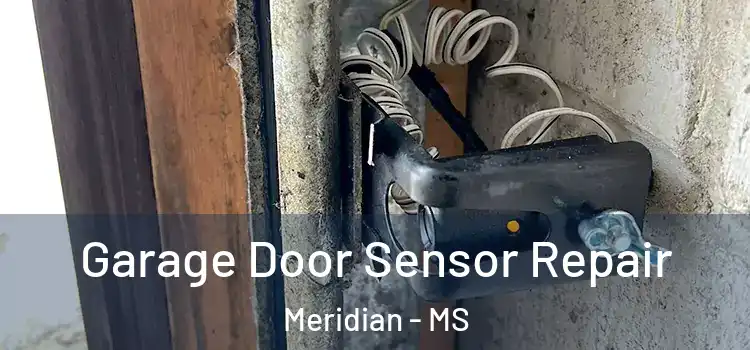 Garage Door Sensor Repair Meridian - MS