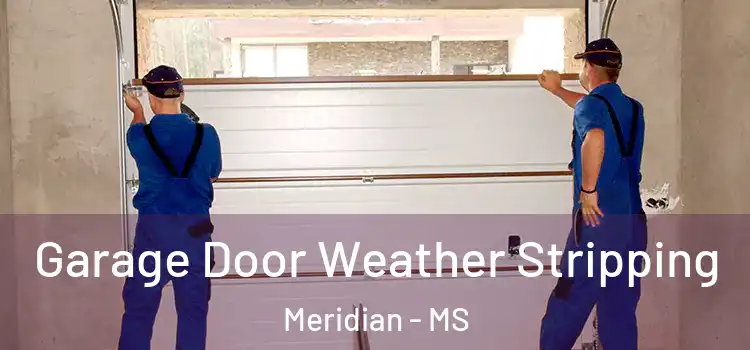  Garage Door Weather Stripping Meridian - MS