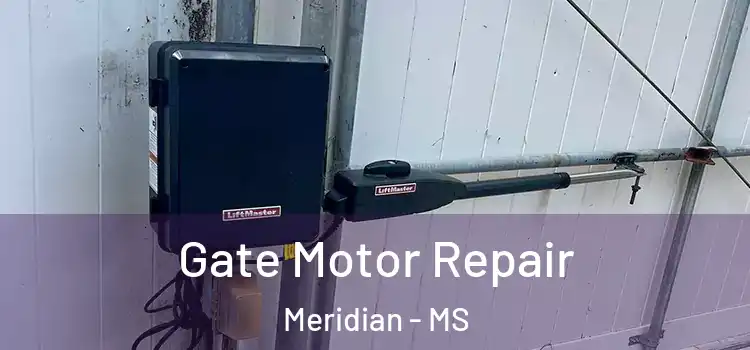 Gate Motor Repair Meridian - MS