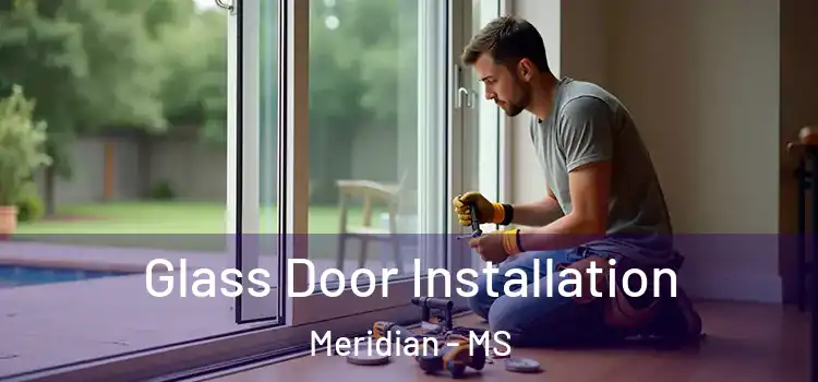 Glass Door Installation Meridian - MS