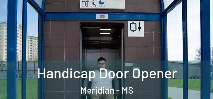 Handicap Door Opener Meridian - MS