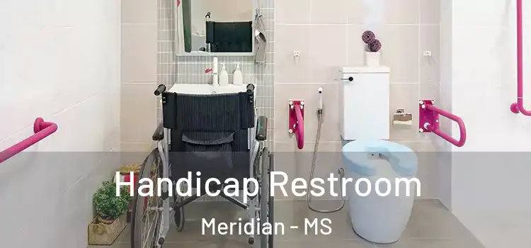 Handicap Restroom Meridian - MS