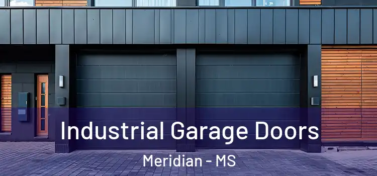  Industrial Garage Doors Meridian - MS