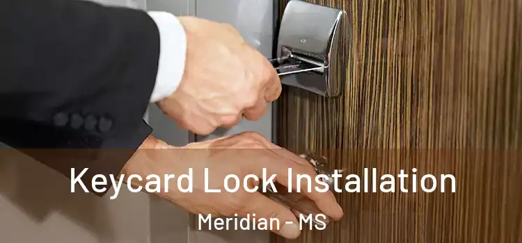 Keycard Lock Installation Meridian - MS