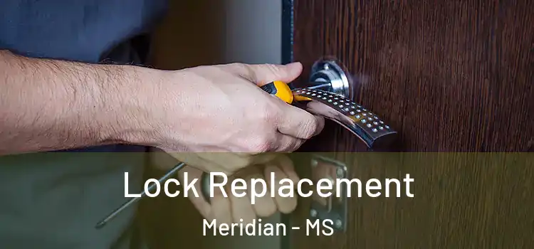 Lock Replacement Meridian - MS