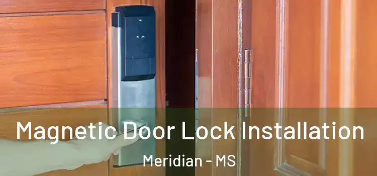  Magnetic Door Lock Installation Meridian - MS