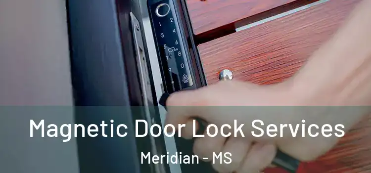 Magnetic Door Lock Services Meridian - MS