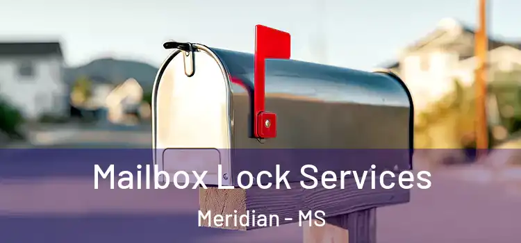 Mailbox Lock Services Meridian - MS