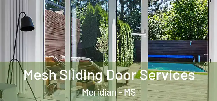 Mesh Sliding Door Services Meridian - MS