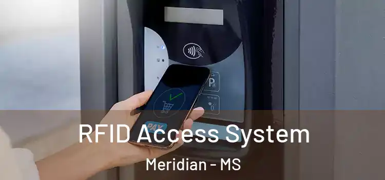  RFID Access System Meridian - MS