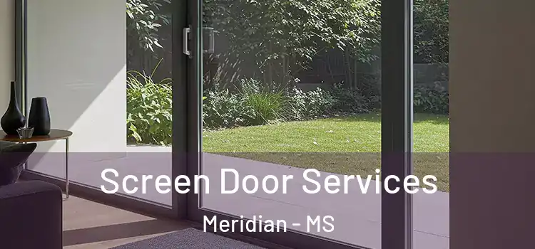 Screen Door Services Meridian - MS
