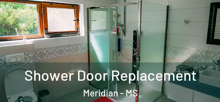 Shower Door Replacement Meridian - MS