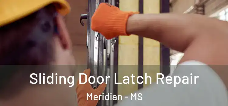Sliding Door Latch Repair Meridian - MS