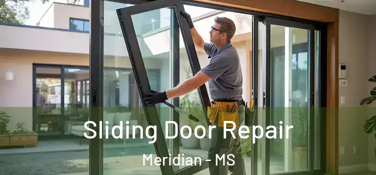 Sliding Door Repair Meridian - MS