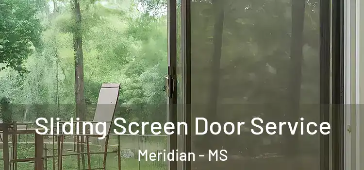 Sliding Screen Door Service Meridian - MS