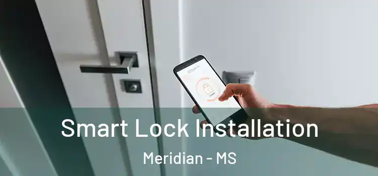 Smart Lock Installation Meridian - MS