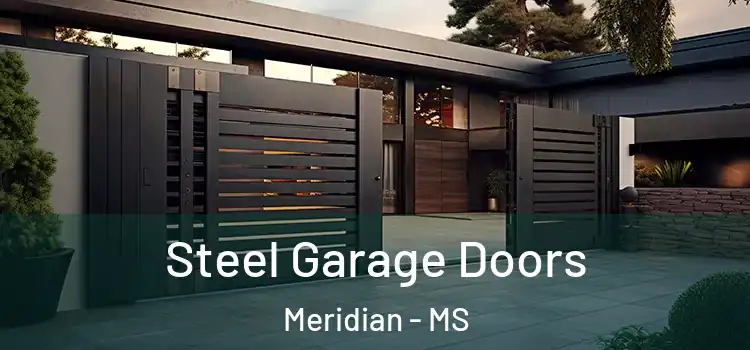 Steel Garage Doors Meridian - MS